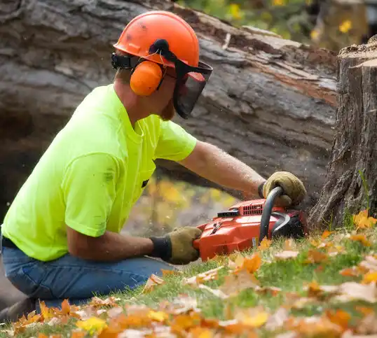 tree services North Amityville